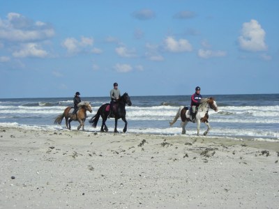 Bungalow Willemien - Environment photo 17
