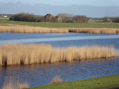 Bungalow Willemien - Environment photo 18