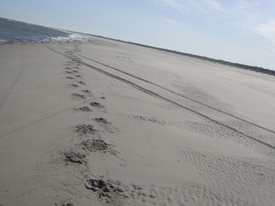 Bungalow Willemien - Environment photo 20