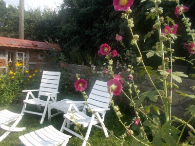 Holiday apartment Landliebe - Outdoor photo 9