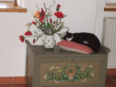 Holiday apartment Landliebe - Features photo 18