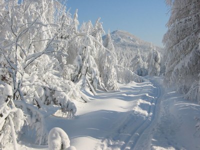 Holiday apartment Landliebe - Environment photo 27