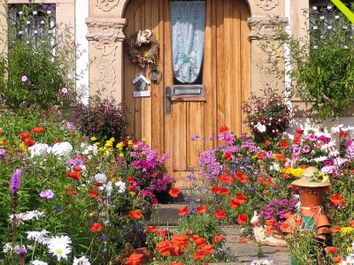 Holiday apartment Landliebe - Environment photo 31