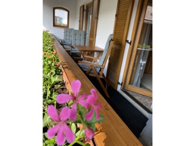 Holiday apartment House Sailer - Outdoor photo 6