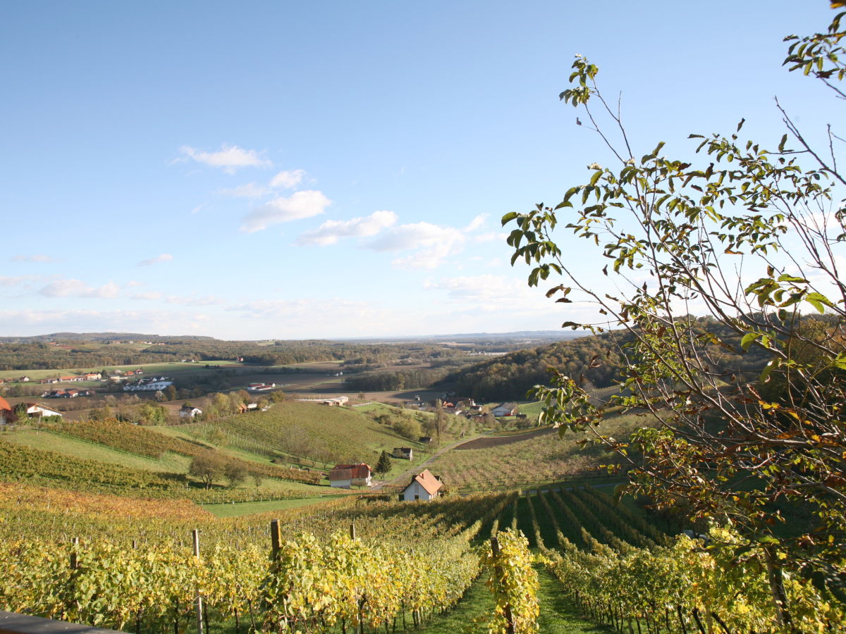 Holiday house Weingartenhaus "Kellerstöckl" - Outdoor photo 5