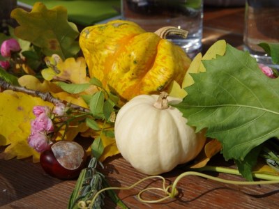 Holiday house Weingartenhaus "Kellerstöckl" - Outdoor photo 4