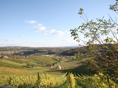 Holiday house Weingartenhaus "Kellerstöckl" - Outdoor photo 5