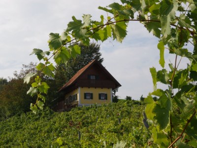 Holiday house Weingartenhaus "Kellerstöckl" - Outdoor photo 7