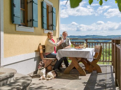 Holiday house Weingartenhaus "Kellerstöckl" - Outdoor photo 8