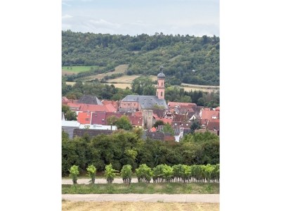 Holiday apartment “Winemaker’s Retreat” - Environment photo 9