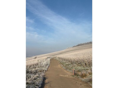 Holiday apartment “Winemaker’s Retreat” - Environment photo 12