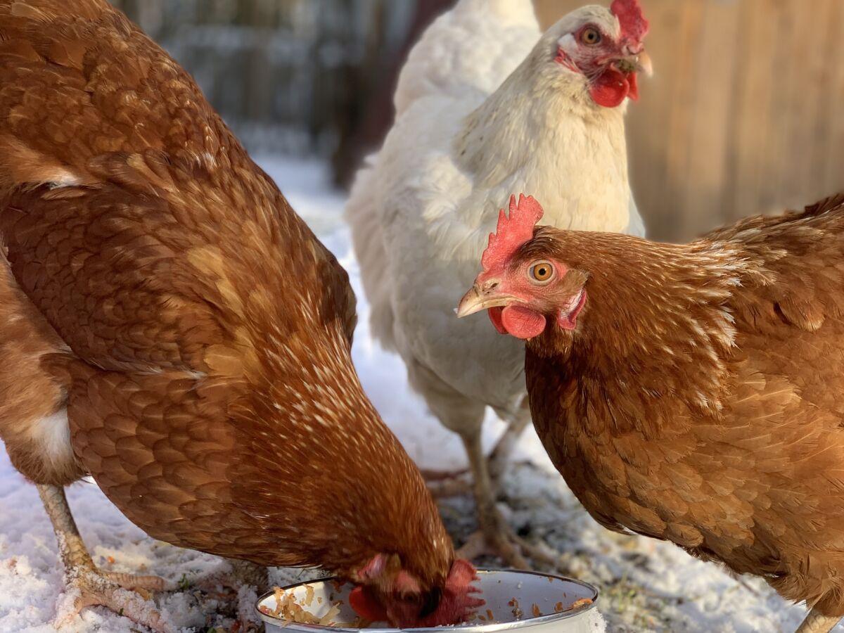 Holiday apartment No title - Outdoor photo 4