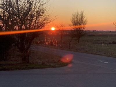 Holiday apartment No title - Environment photo 21