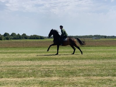 Holiday apartment No title - Environment photo 23