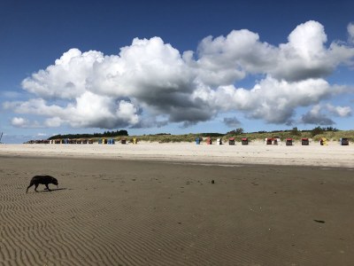 Holiday apartment No title - Environment photo 25