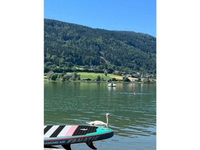 Holiday apartment Sepp - Environment photo 22