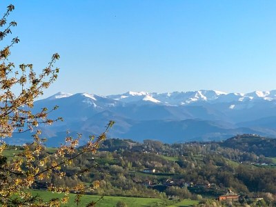 Holiday house Langhe Wine & Relax - Environment photo 37