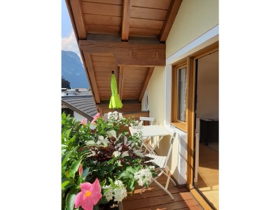 Holiday apartment Haus Elisabeth Apt. "Zugspitz" - Features photo 17