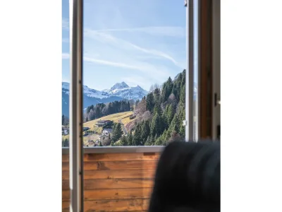 Apartment Chalet Emely - Features photo 18