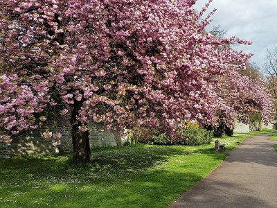 Holiday apartment Gästehaus Sonnenhügel - Environment photo 22