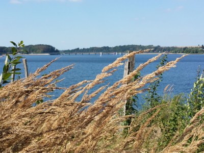 Holiday apartment Gästehaus Sonnenhügel - Environment photo 23