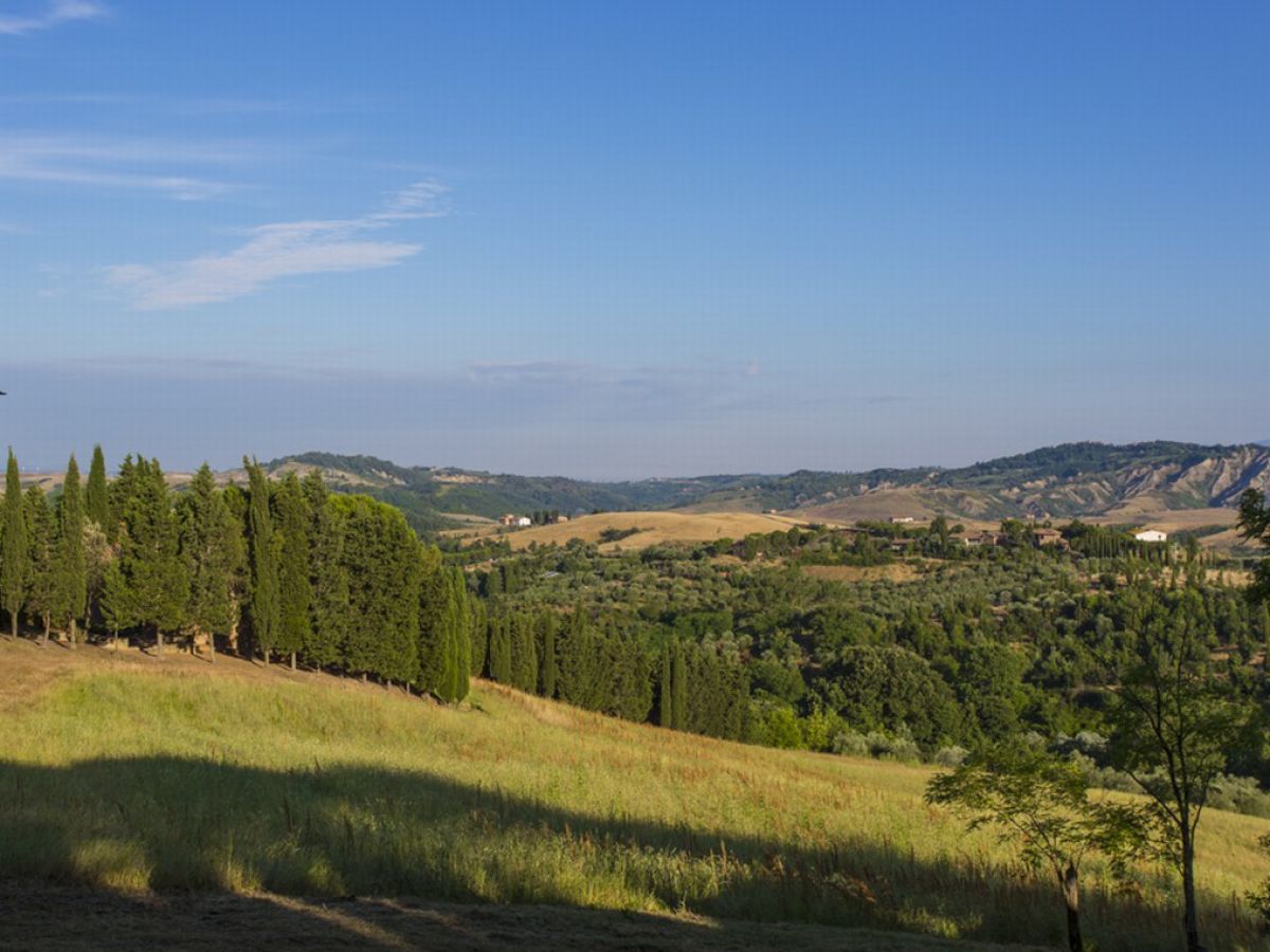 Holiday apartment 2-room holiday apartment La Betulla on the estate Il Poggio - Outdoor photo 3
