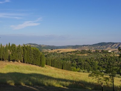 Holiday apartment 2-room holiday apartment La Betulla on the estate Il Poggio - Outdoor photo 3