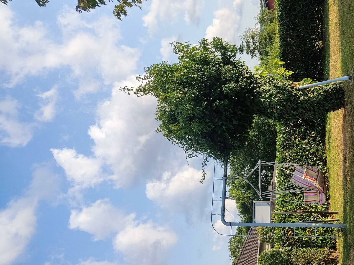 Apartment 6-Bett,Ferienhaus Dusche/WC, 3 Schlafräume - Outdoor photo 4