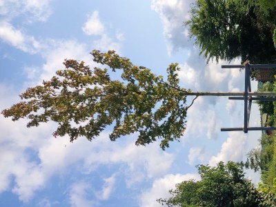 Apartment 6-Bett,Ferienhaus Dusche/WC, 3 Schlafräume - Outdoor photo 5