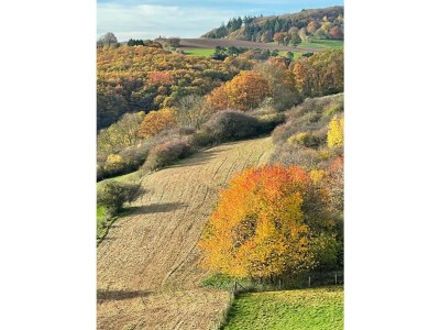 Apartment 6-Bett,Ferienhaus Dusche/WC, 3 Schlafräume - Outdoor photo 12