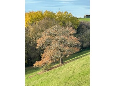 Apartment 6-Bett,Ferienhaus Dusche/WC, 3 Schlafräume - Outdoor photo 14