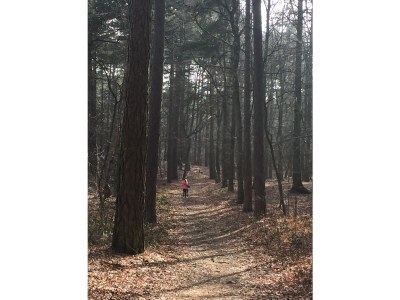 Villa Villa Süd - Environment photo 21