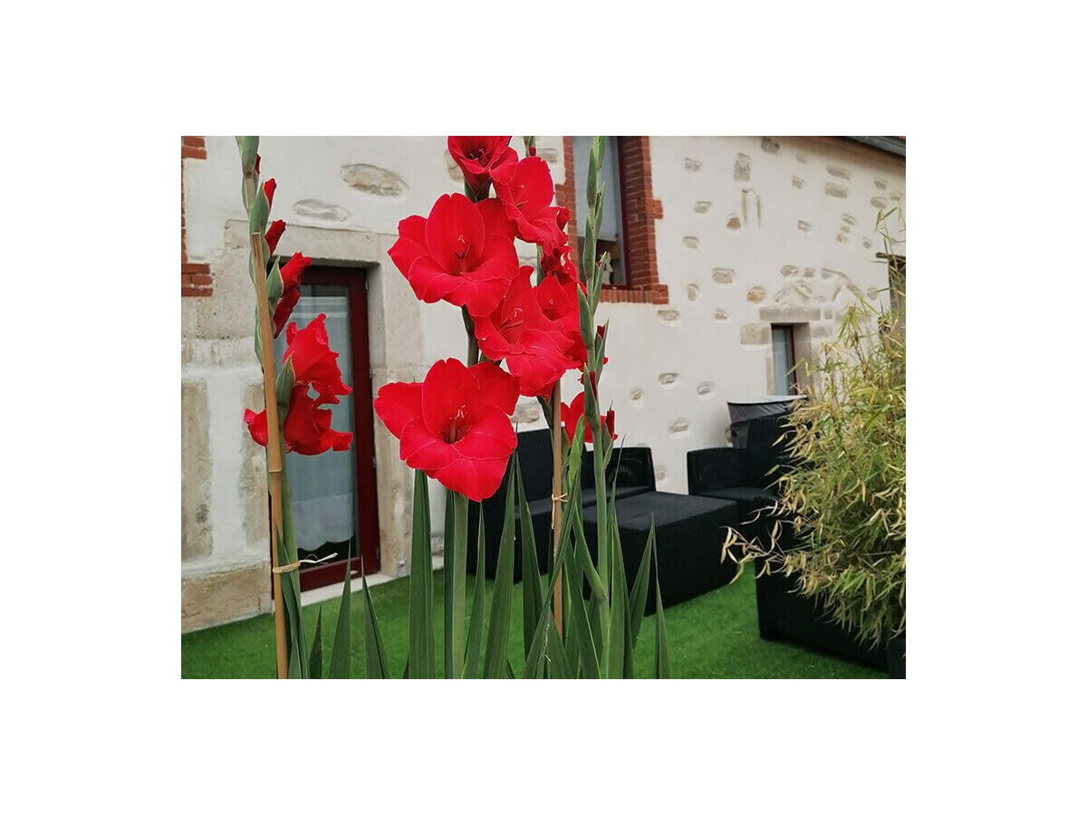 Holiday house Cottage Le Pigeonnier - Outdoor photo 5