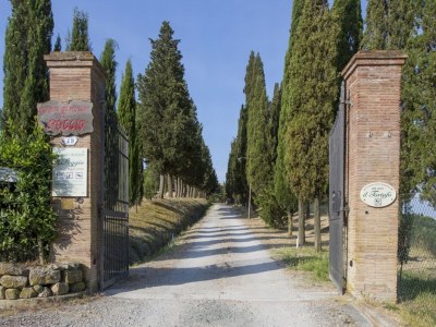 Holiday apartment 3-room holiday apartment with pool on picturesque estate - Outdoor photo 6