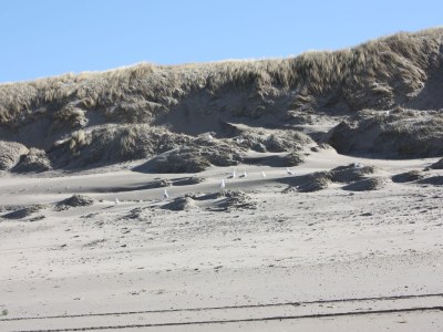 Holiday house The Freckle - Environment photo 21