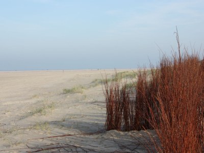 Holiday house The Freckle - Environment photo 22