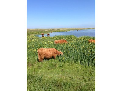 Holiday house The Freckle - Environment photo 25