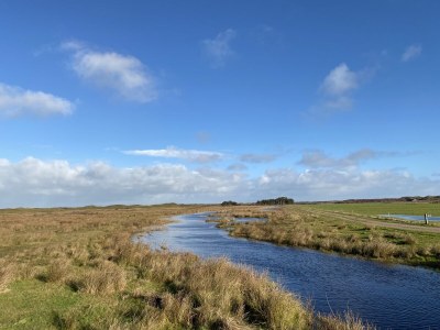Holiday house The Freckle - Environment photo 27