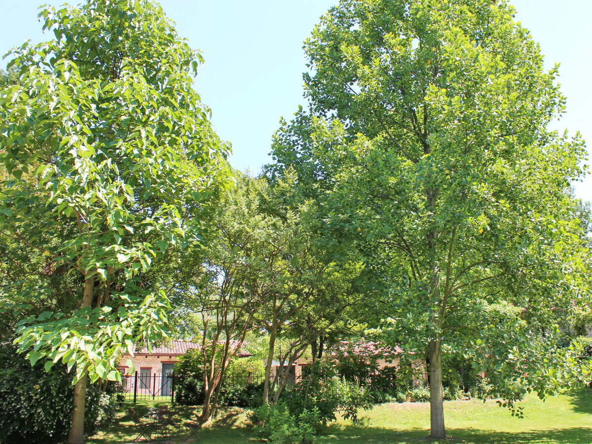Holiday house "Artuico" with garden in castle - Outdoor photo 3