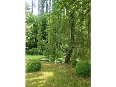 Holiday house "Artuico" with garden in castle - Outdoor photo 18