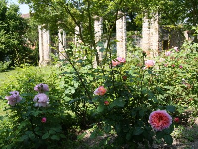 Holiday house "Artuico" with garden in castle - Outdoor photo 20