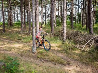 Bungalow Villa Kamin - Environment photo 19