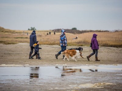 Bungalow Villa Kamin - Environment photo 24