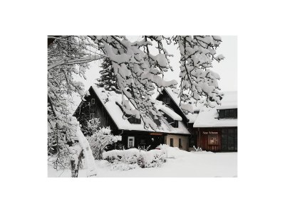 Holiday house "Neue Scheune" - Outdoor photo 11