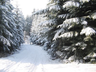 Holiday house "Neue Scheune" - Environment photo 24