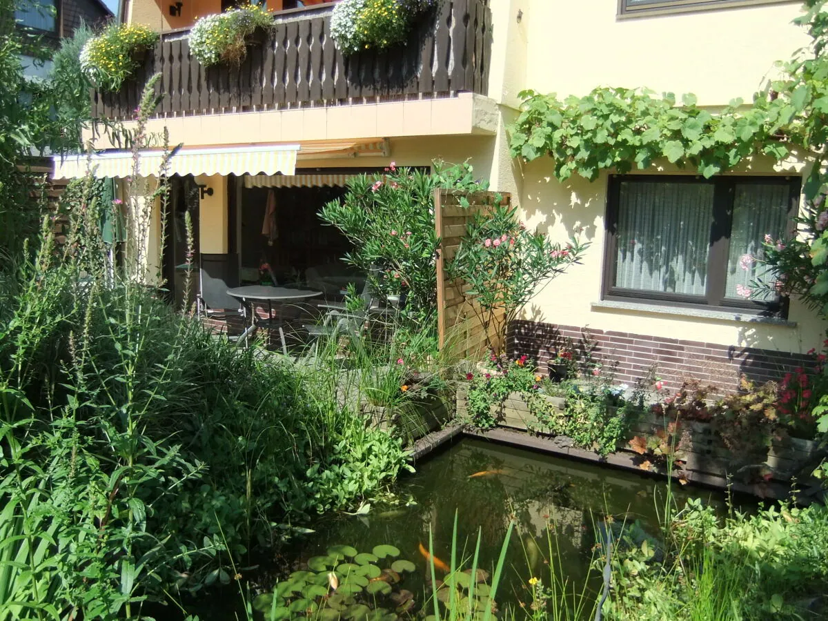 Holiday apartment Dinter - Outdoor photo 5