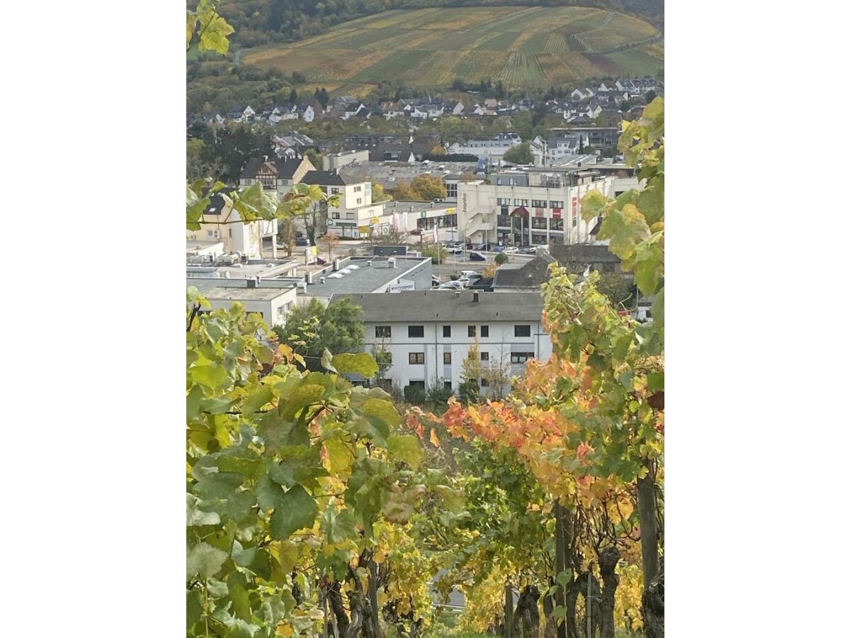 Apartment Ferienwohnung Ahrträumchen - Outdoor photo 3