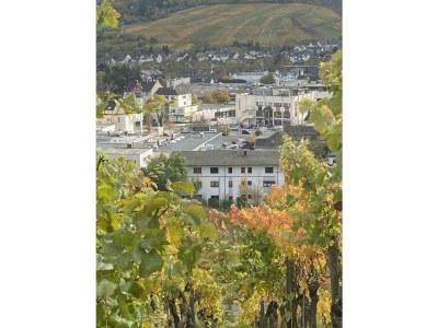 Apartment Ferienwohnung Ahrträumchen - Outdoor photo 3