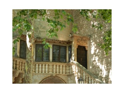 Holiday house Villa Vitalis - Environment photo 30