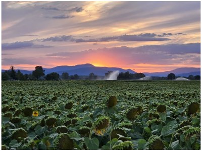 Holiday house No title - Environment photo 32